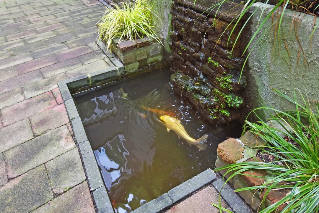 Foto 23 van Torenstraat 87