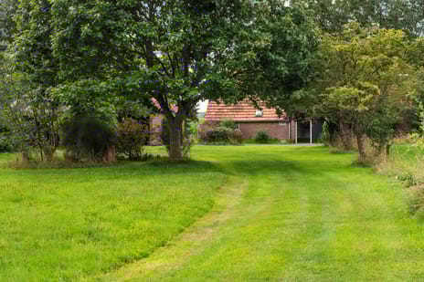 Ehzerallee 22 secondary image