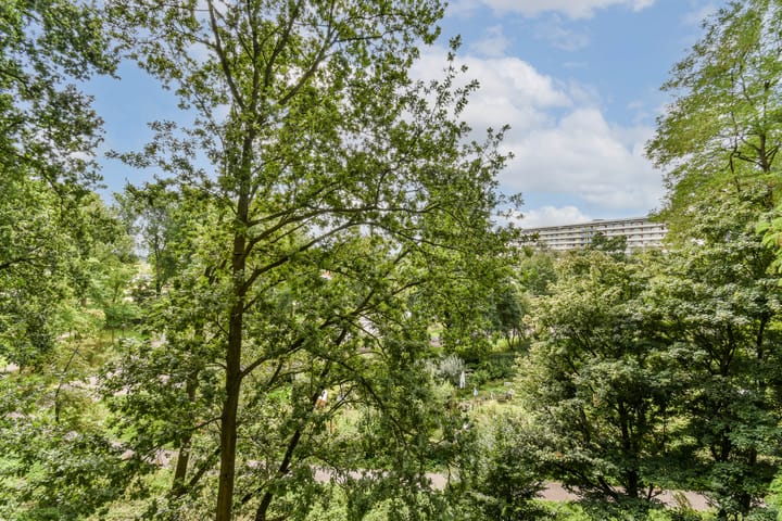 Foto 7 van Kleiburg 428