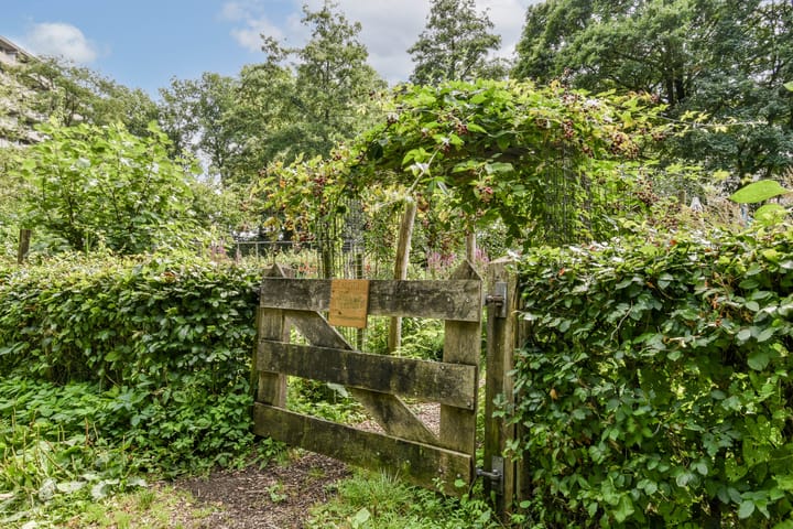 Foto 22 van Kleiburg 428