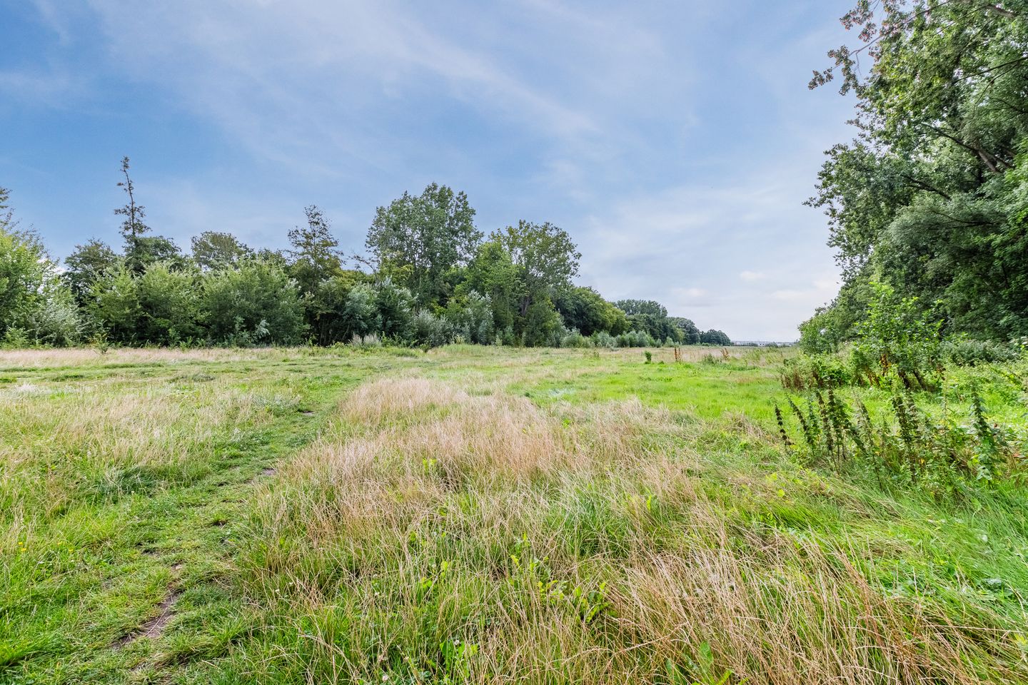 Foto 20 van Wijnmalenstraat 73