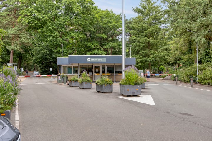 Foto 25 van Patrijslaan 4-H638