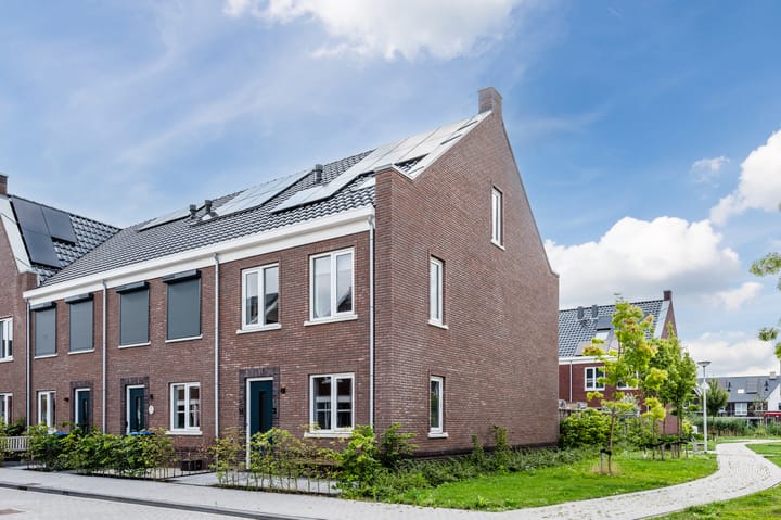 Pinksterbloem 14 main image
