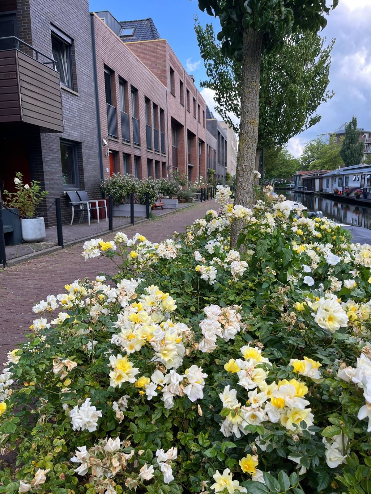 Foto 6 van Buurtje 14