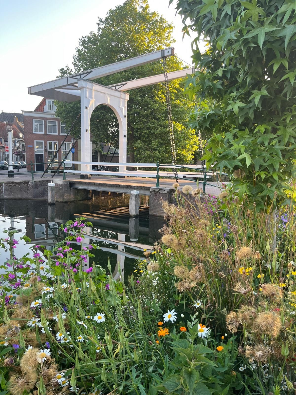 Foto 40 van Buurtje 14
