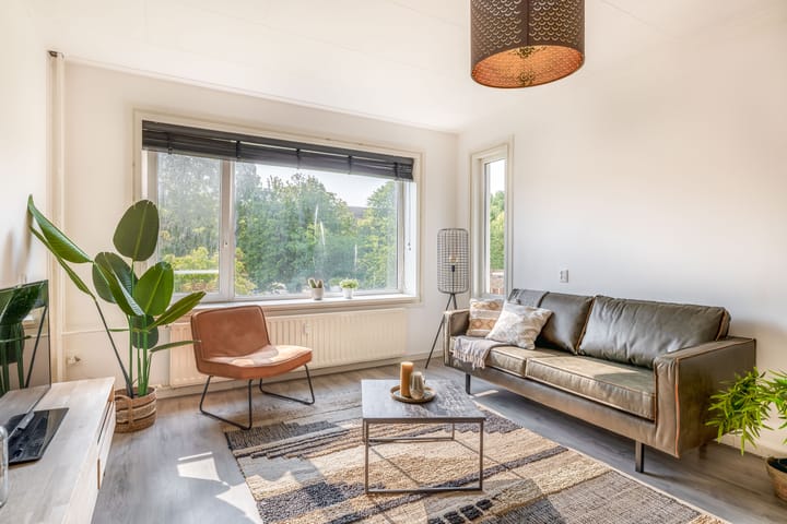 Foto 2 van Ruygeplaat 155