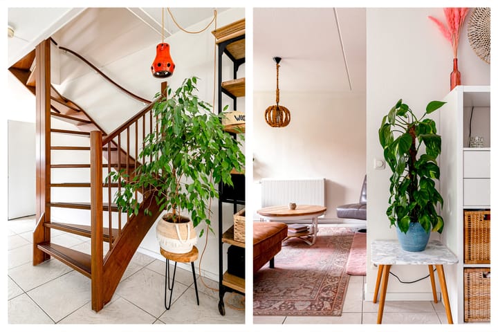 Foto 20 van Burgvliet 113