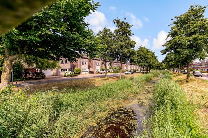 Foto 58 van Burgvliet 113