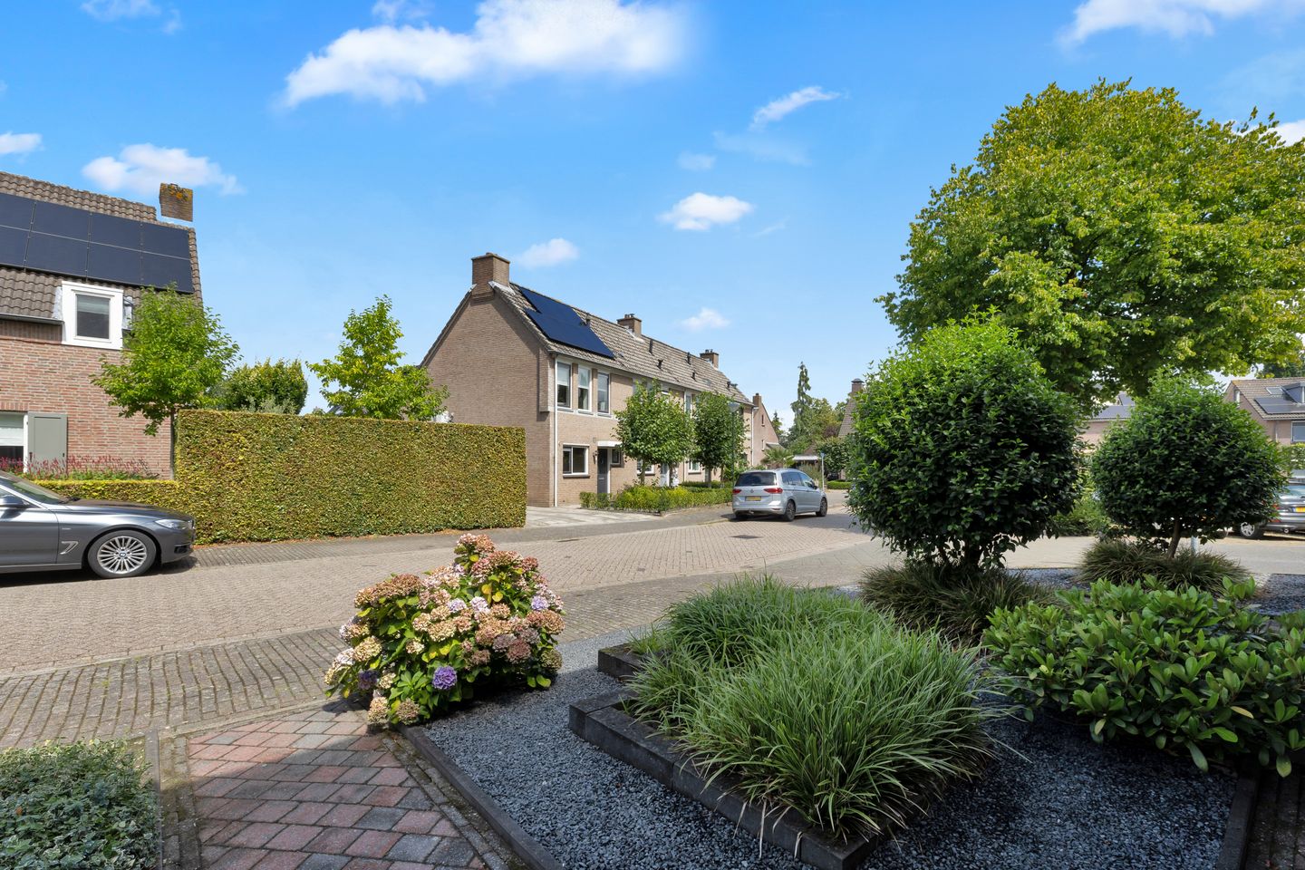 Foto 34 van Sint Janskruid 10