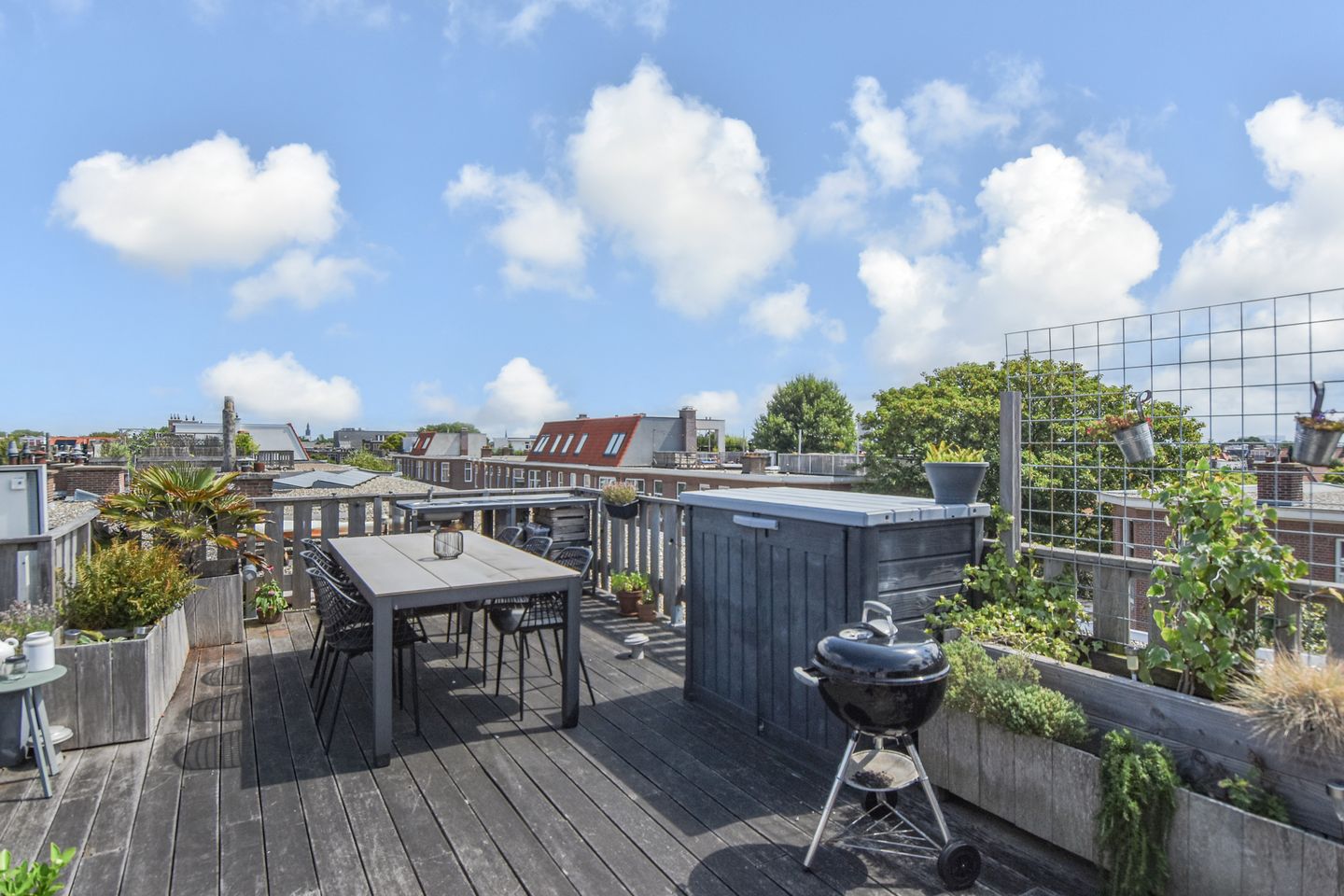 Foto 44 van Berberisstraat 91