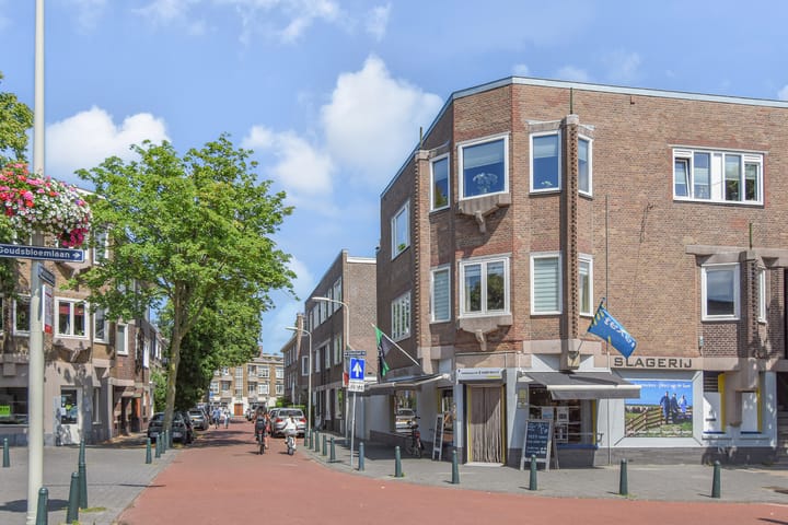 Foto 49 van Berberisstraat 91