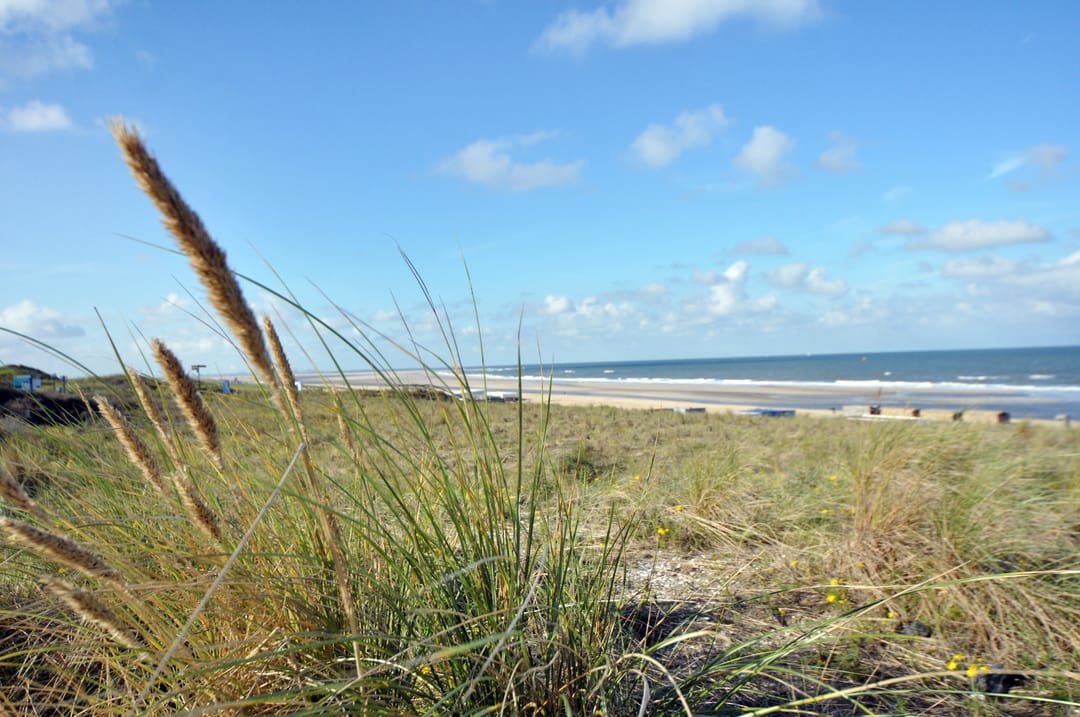 Foto 56 van Berberisstraat 91