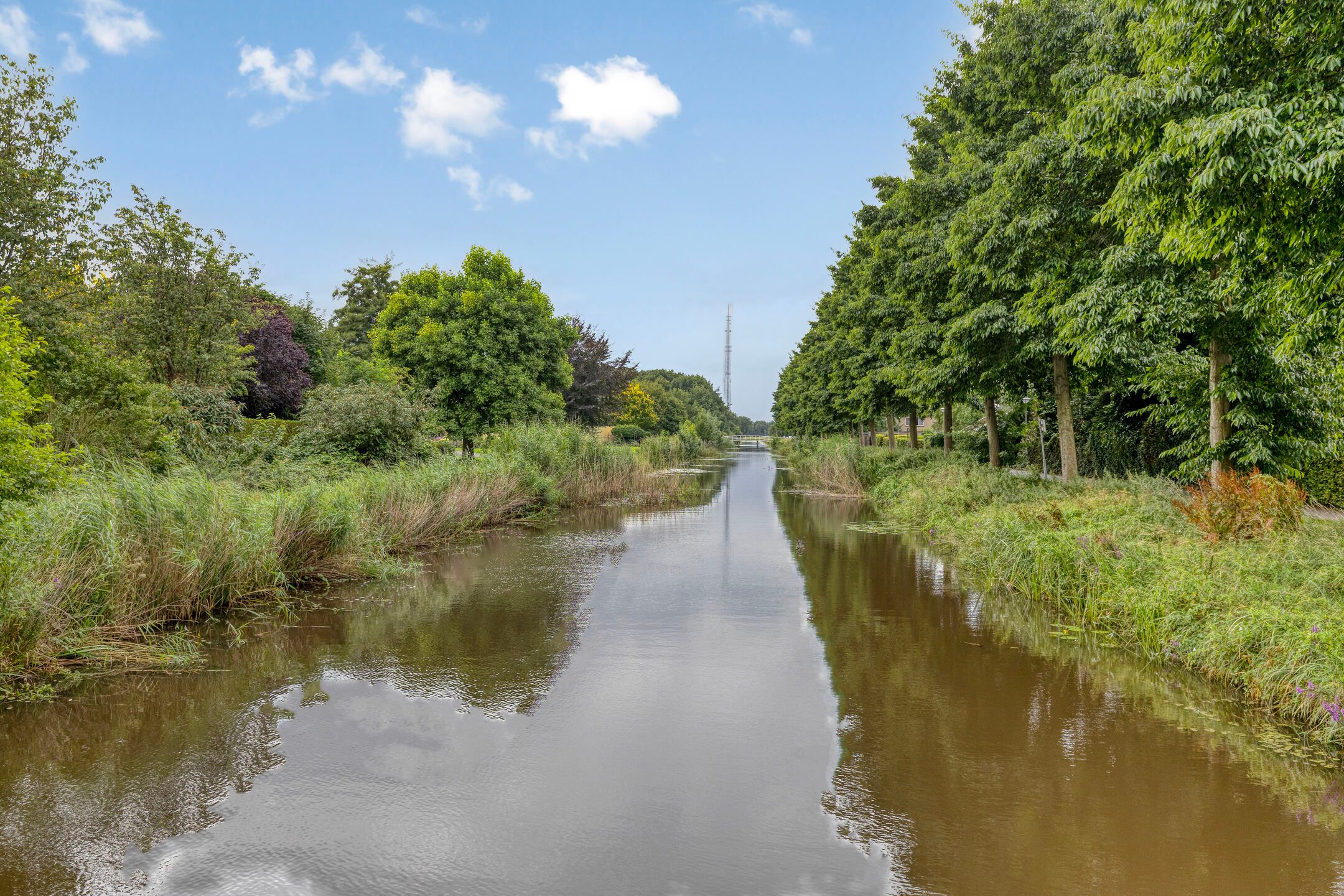 Photo 48 of Uranus 20