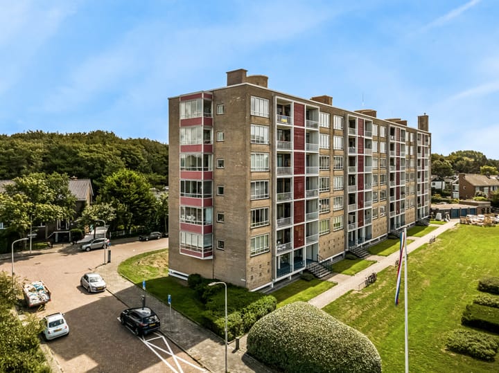 Van Alkemadelaan 812