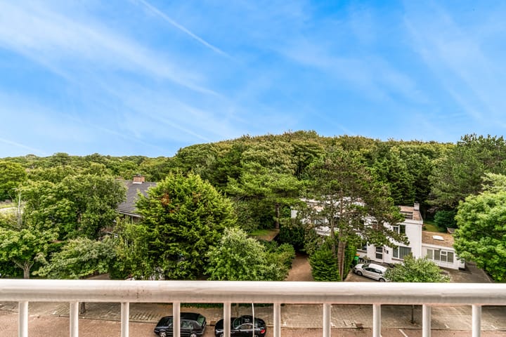 Foto 3 van Van Alkemadelaan 812