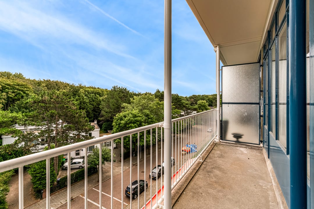 Foto 13 van Van Alkemadelaan 812