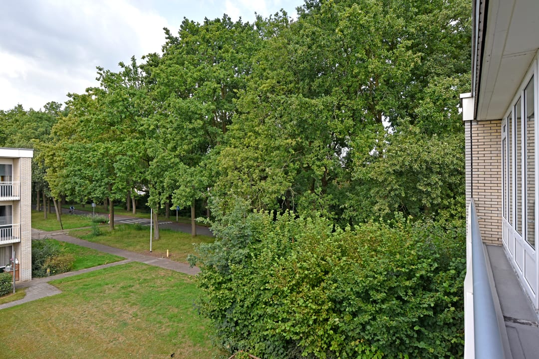 Foto 26 van Sperwerkamp 87