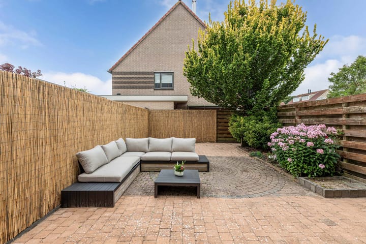 Foto 19 van Wolgastraat 7