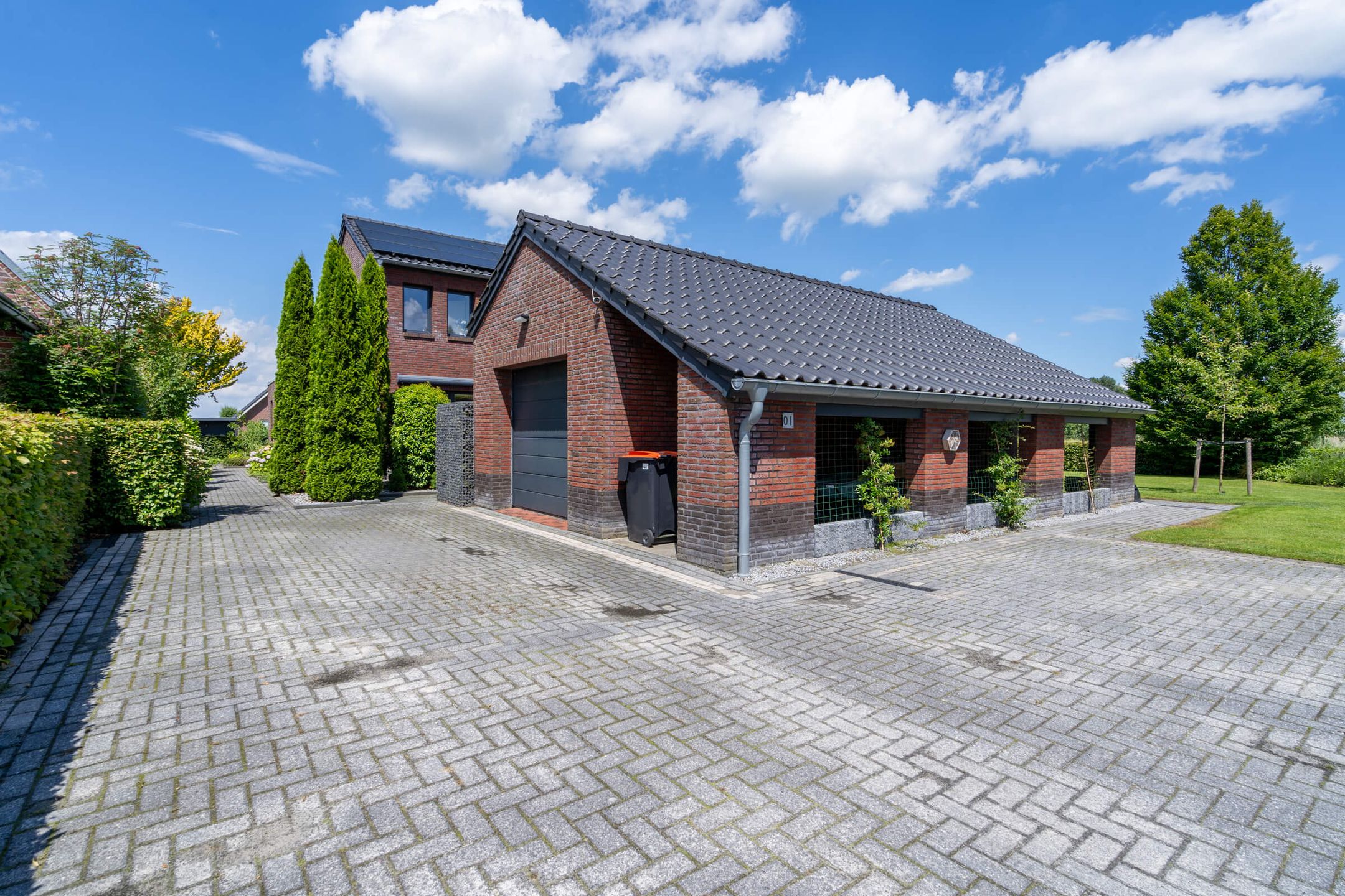 Foto 33 van Watersnip 1