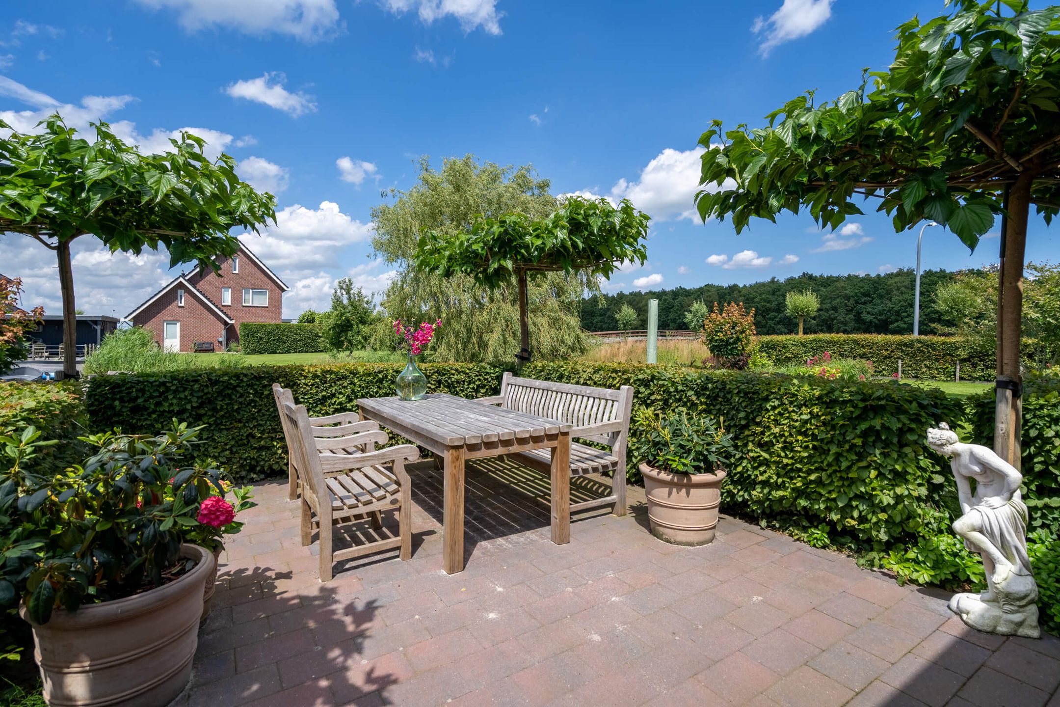 Foto 39 van Watersnip 1