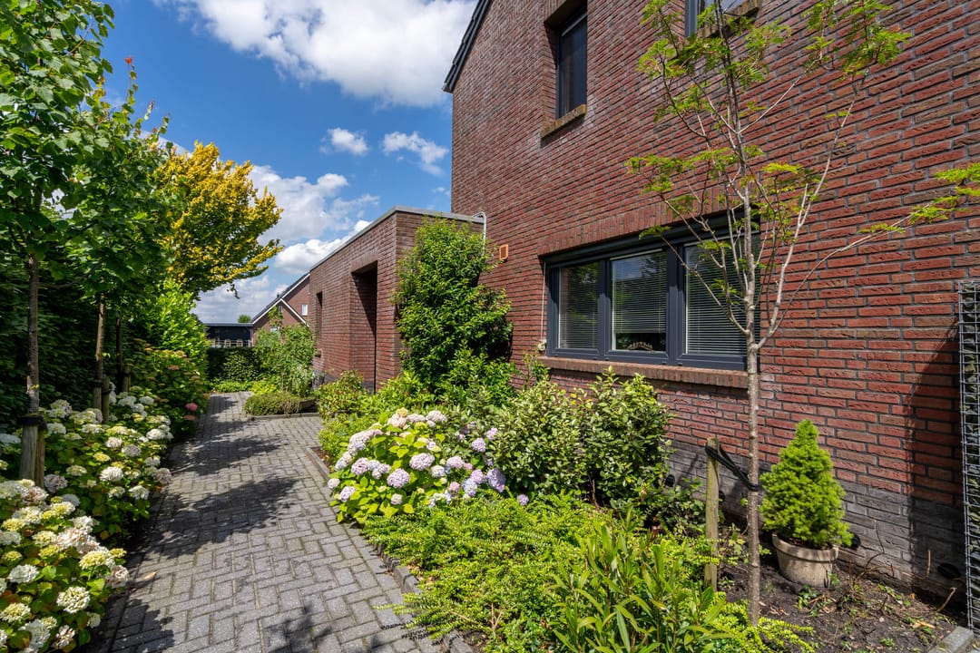 Foto 43 van Watersnip 1