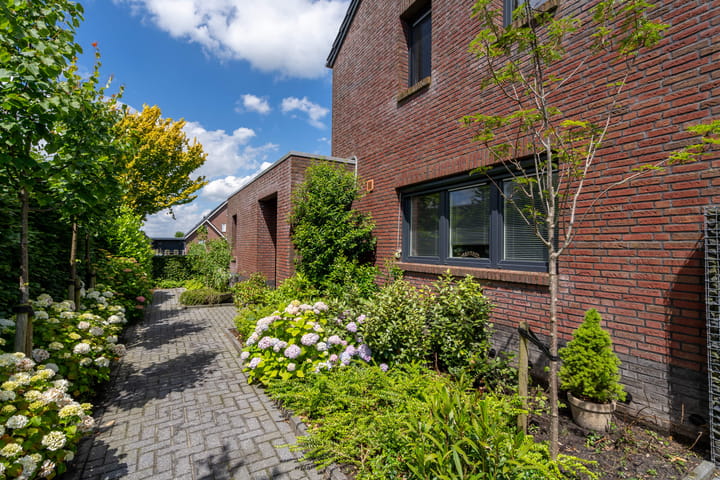 Foto 43 van Watersnip 1