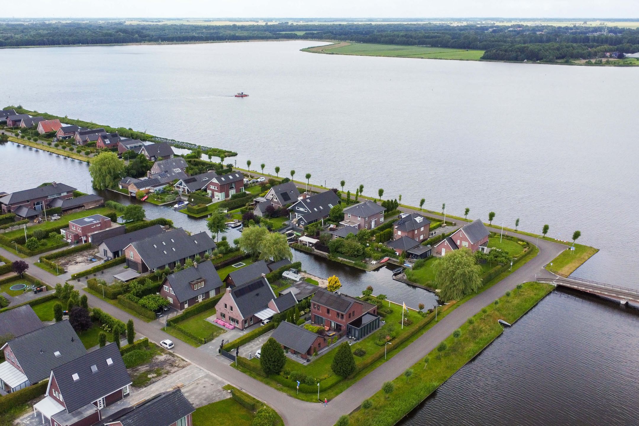 Foto 51 van Watersnip 1