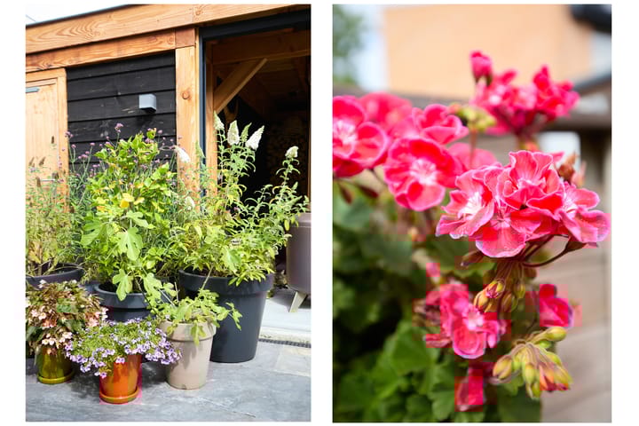 Foto 44 van Toendrastraat 5