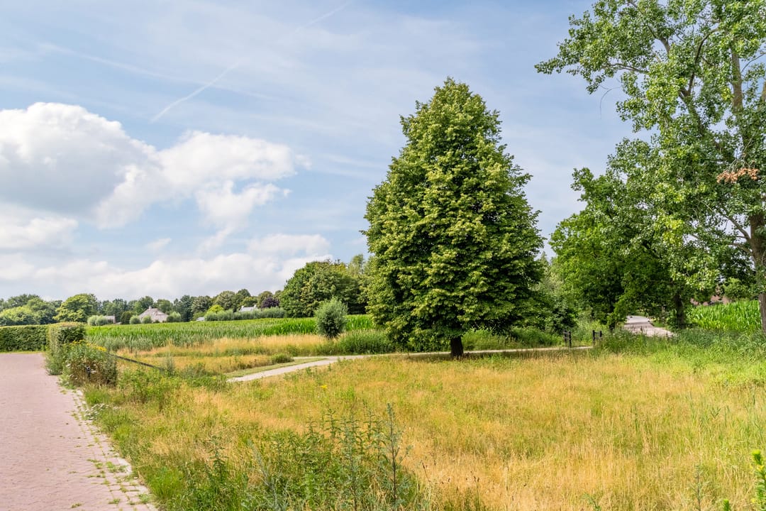 Foto 41 van Windberg 11