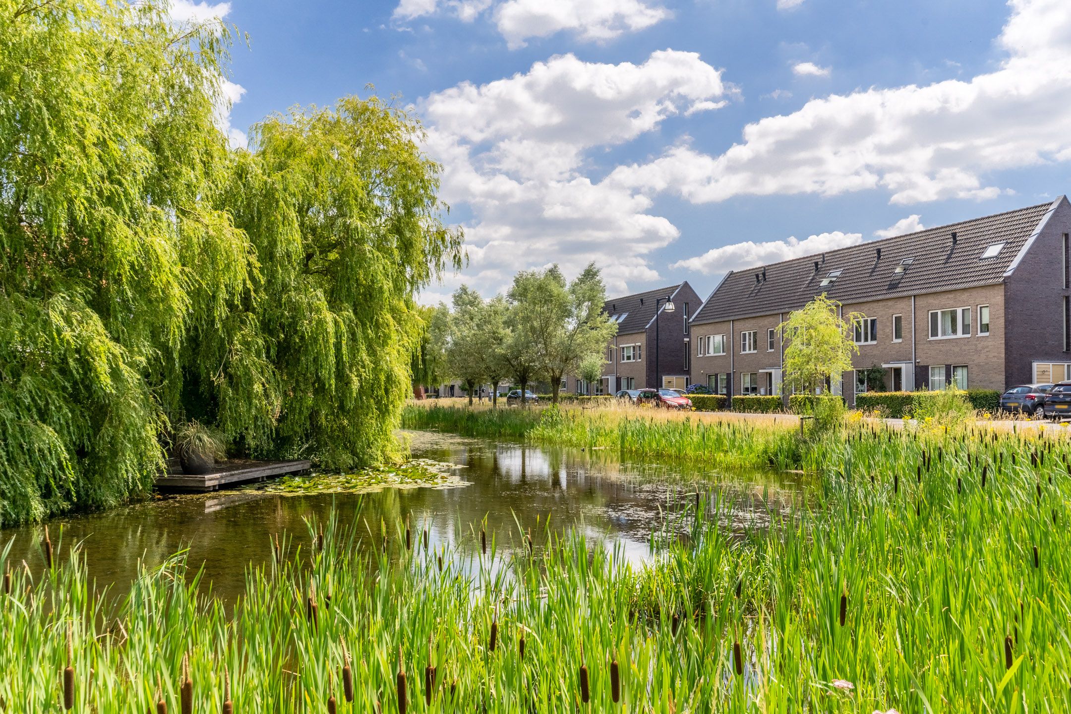 Foto 42 van Windberg 11