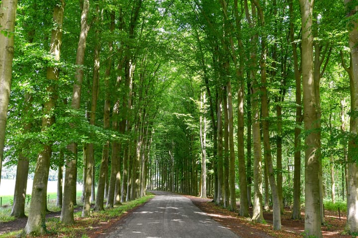 Foto 53 van Beekhuizenseweg 1-A