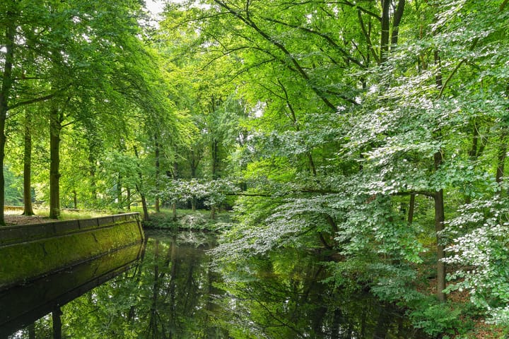 Foto 56 van Beekhuizenseweg 1-A