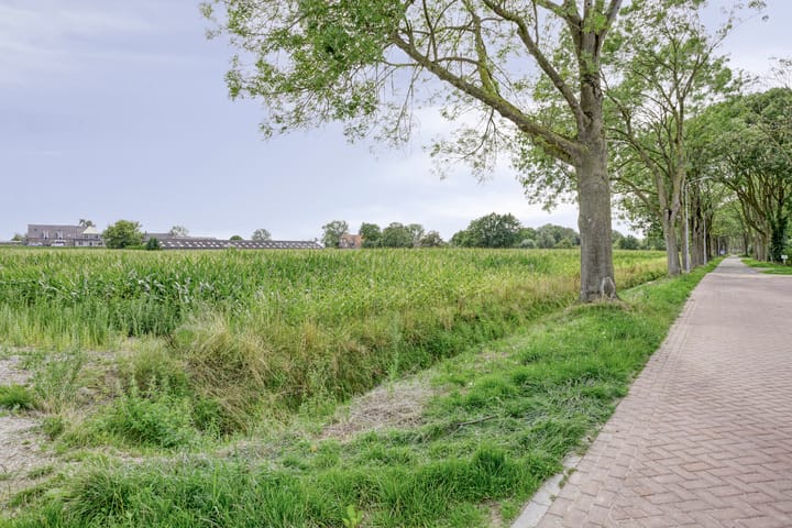 Foto 35 van Blauwstraat 8