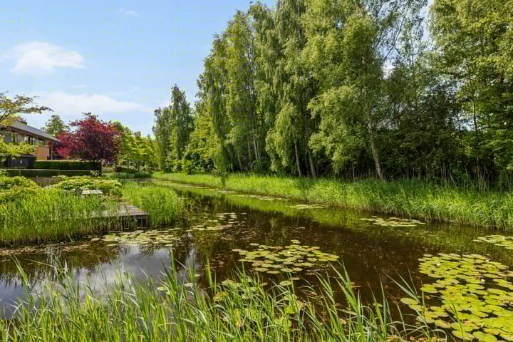 Foto 65 van Kurt Schwittersstraat 23