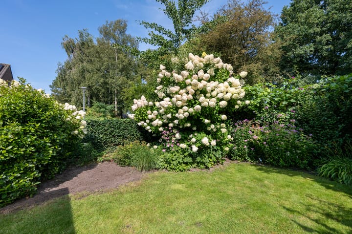 Foto 33 van Zwaluwenveld 14