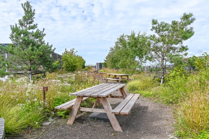 Photo 3 of Sint Maartenpad 11