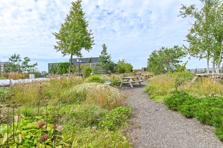 Foto 38 van Sint Maartenpad 11