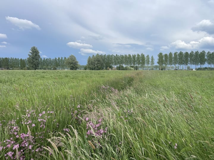 Foto 3 van Middendijk 69