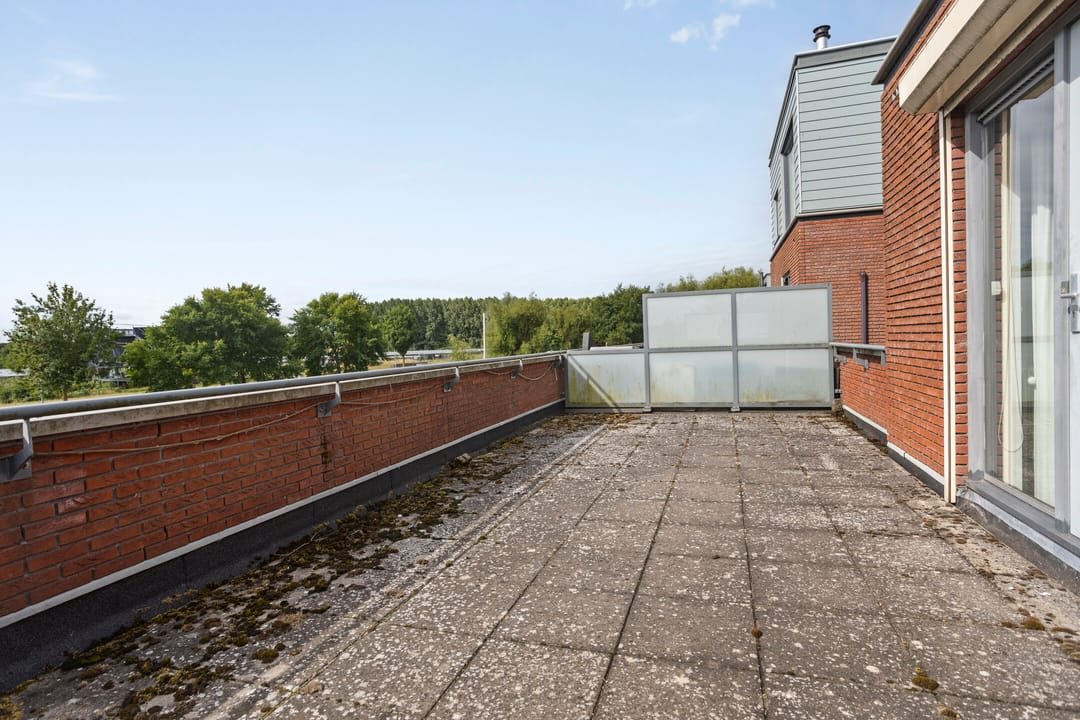 Foto 16 van Plecht 12