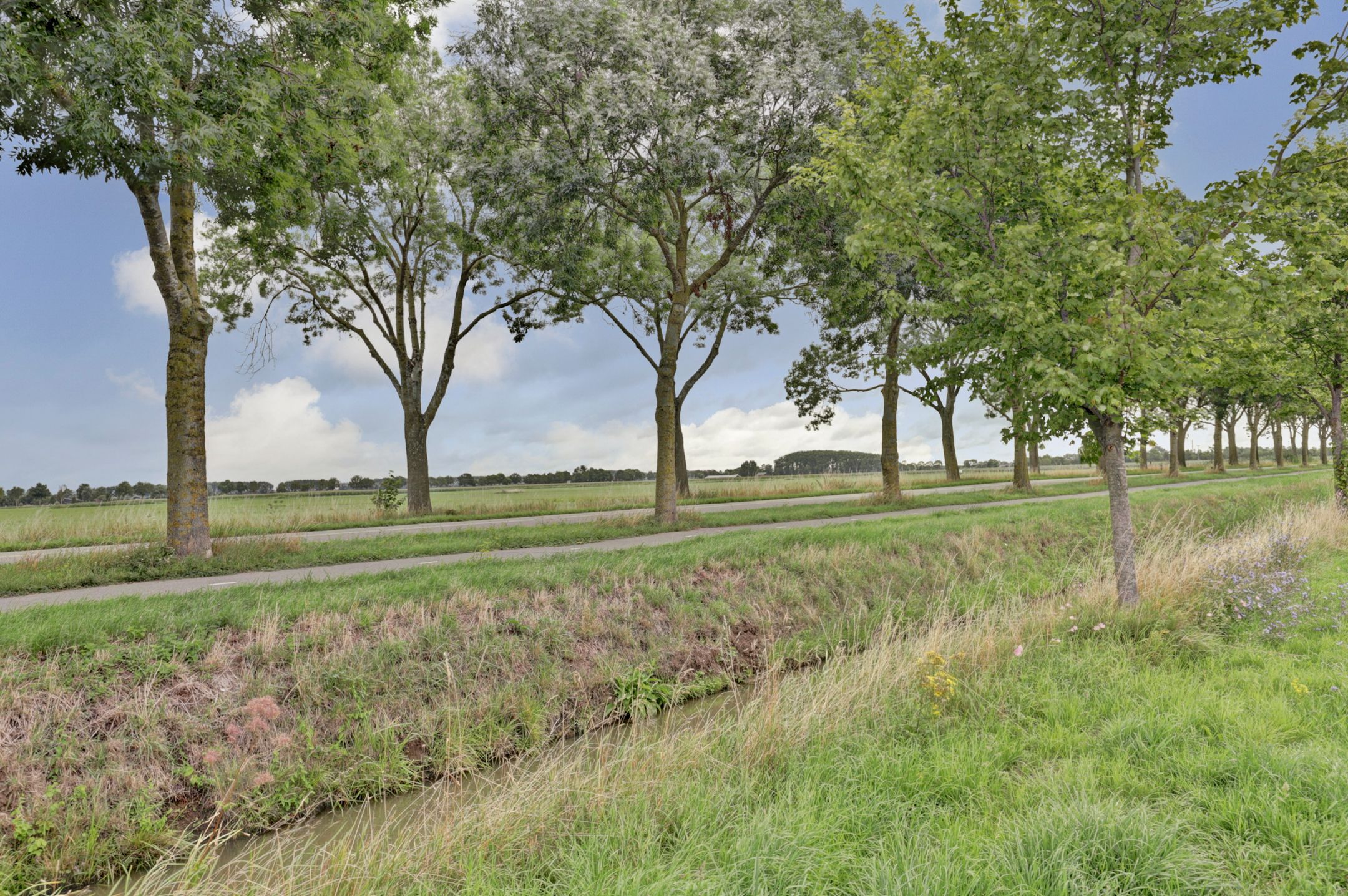 Photo 3 of Vinkenlaan 6