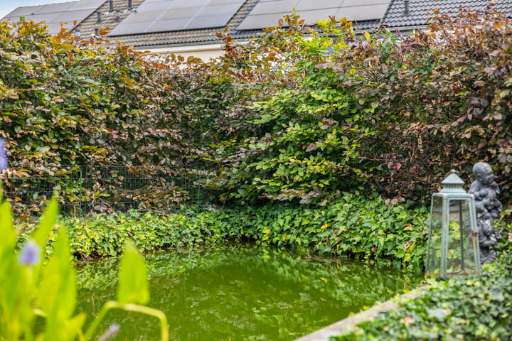 Foto 29 van Fagot 17