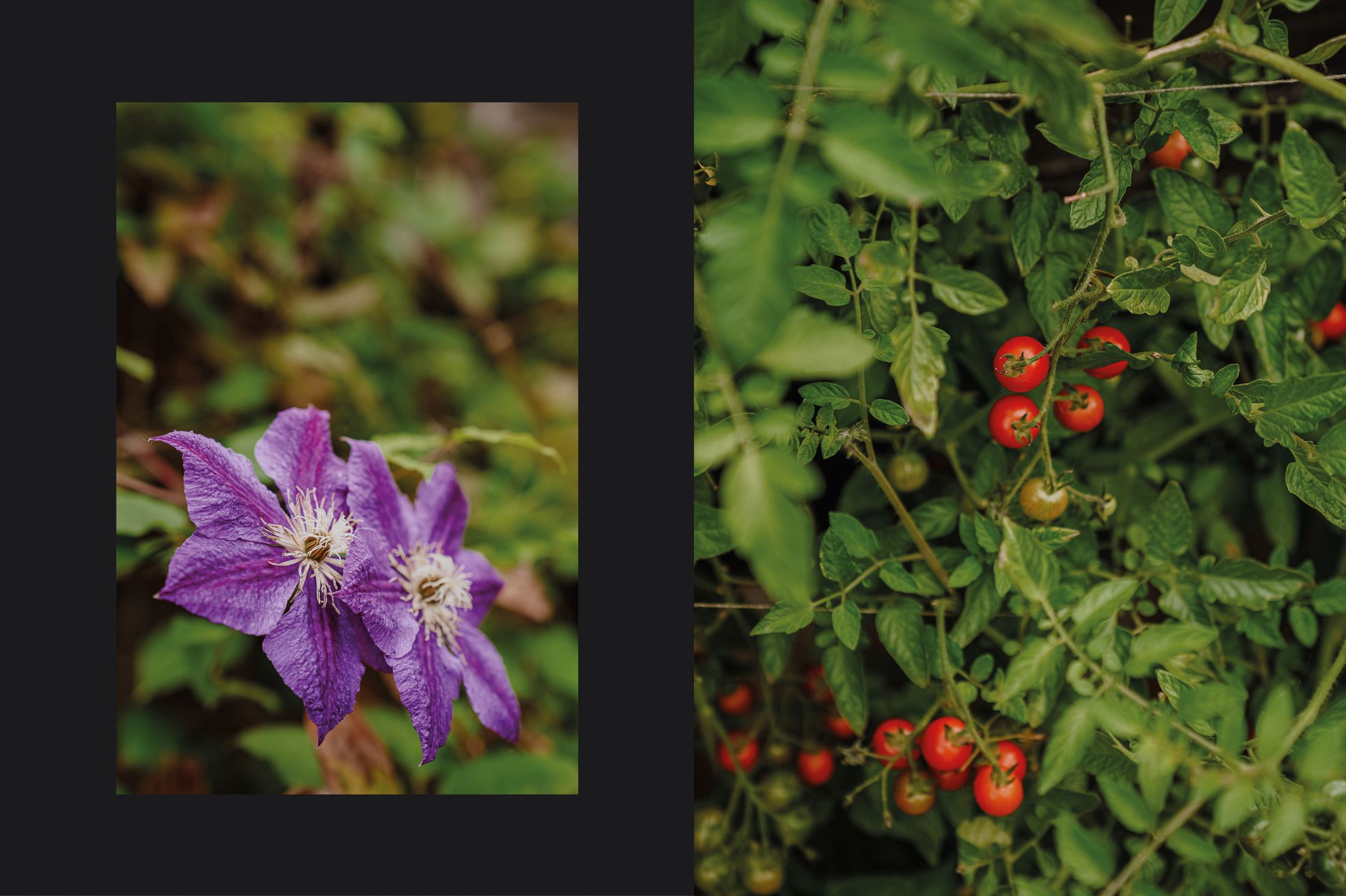 Photo 33 of de Laak 29