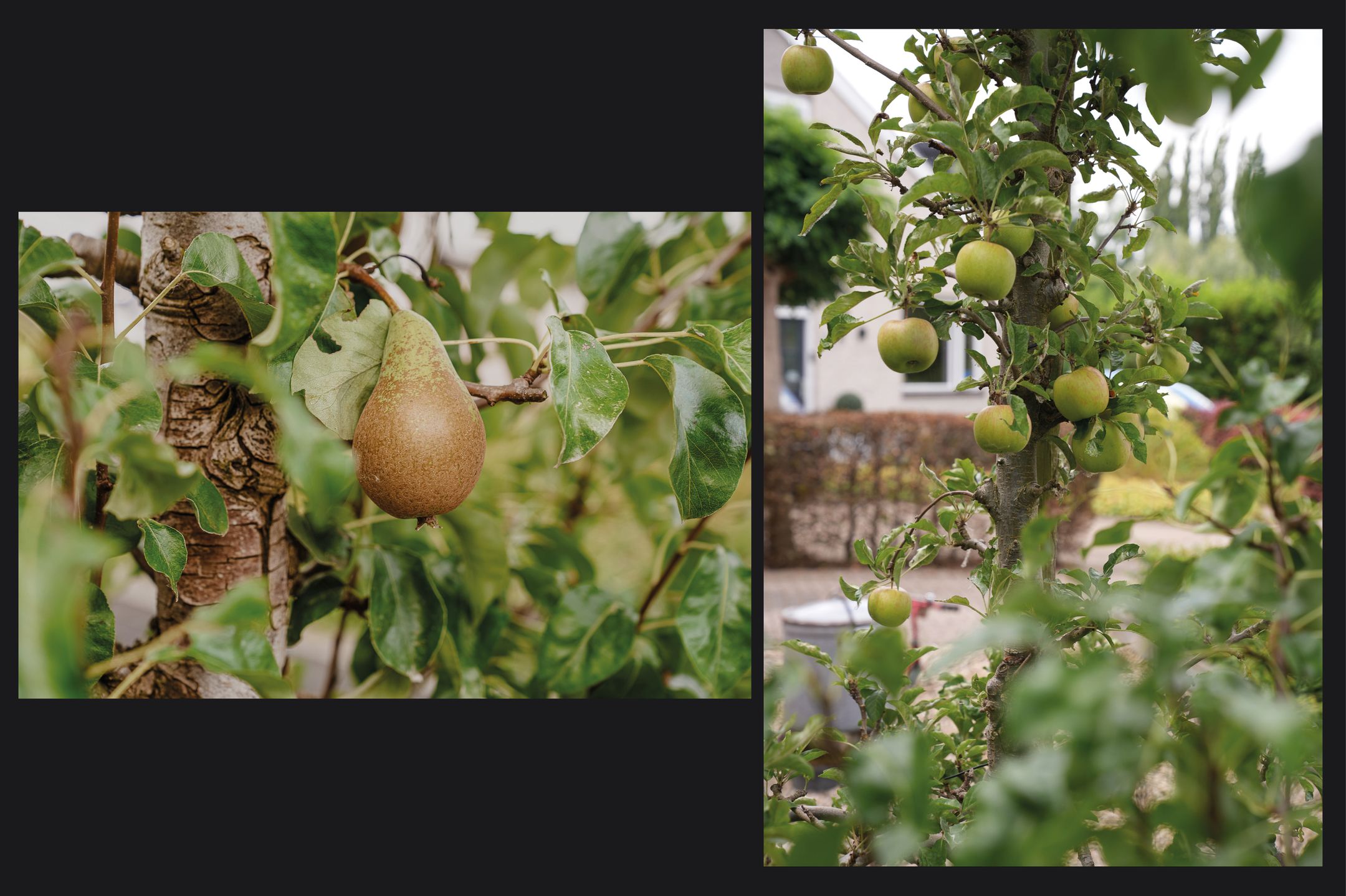 Photo 39 of de Laak 29