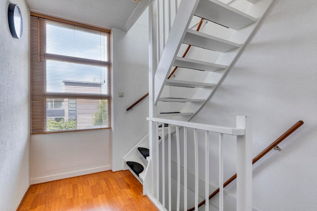 Photo 17 of Botter 17