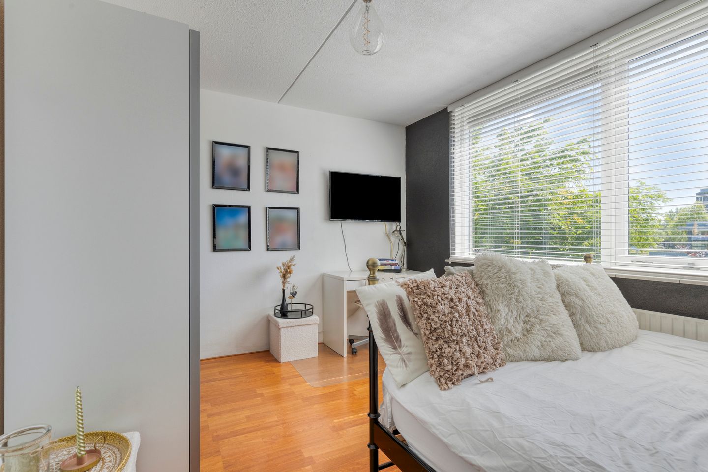 Photo 25 of Botter 17