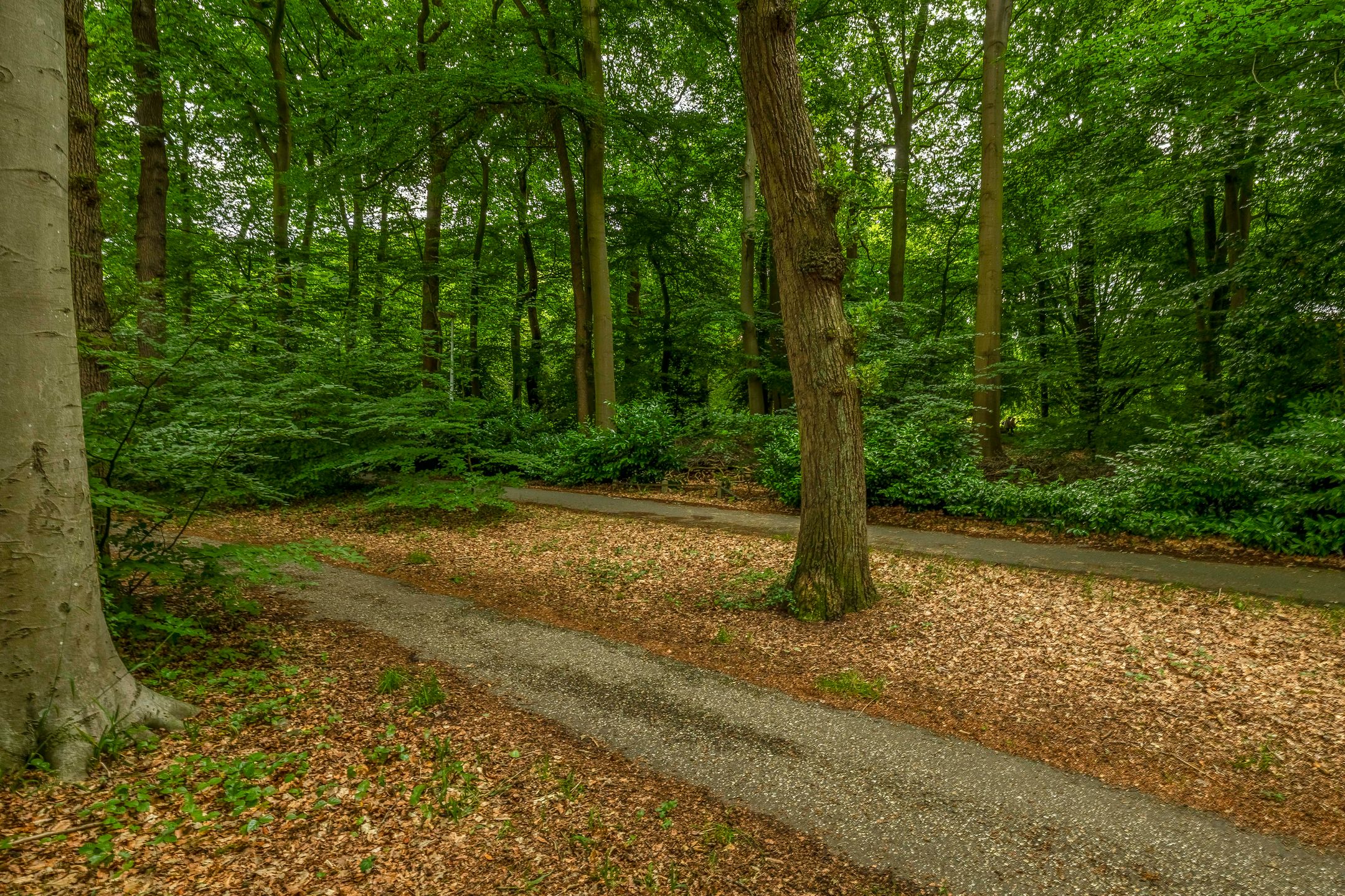 Foto 48 van Generaal Foulkesweg 99-A