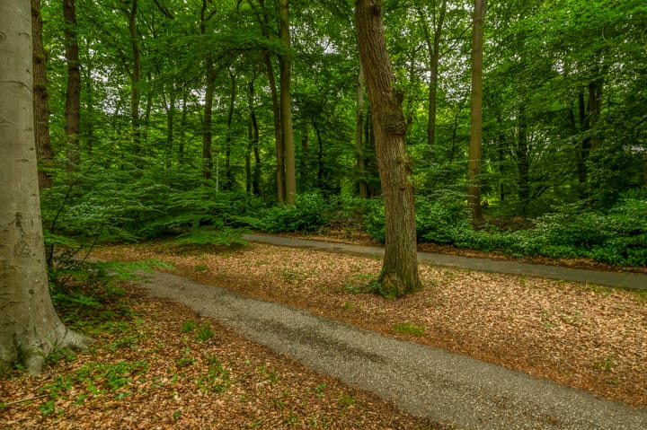 Foto 48 van Generaal Foulkesweg 99-A