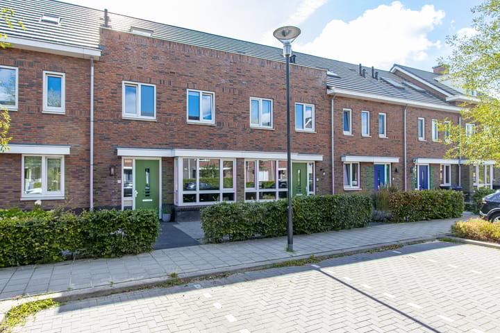 undefined main image
