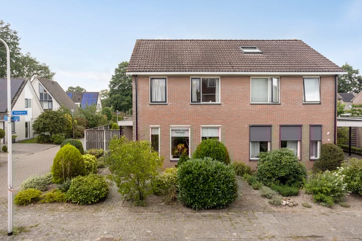 Foto 4 van Ganzebloem 21