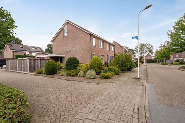 Foto 5 van Ganzebloem 21